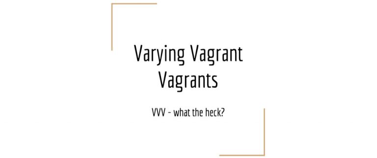 define vagrant